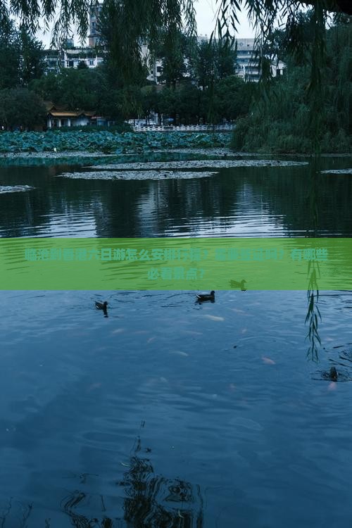 临沧到香港六日游怎么安排行程？需要签证吗？有哪些必看景点？