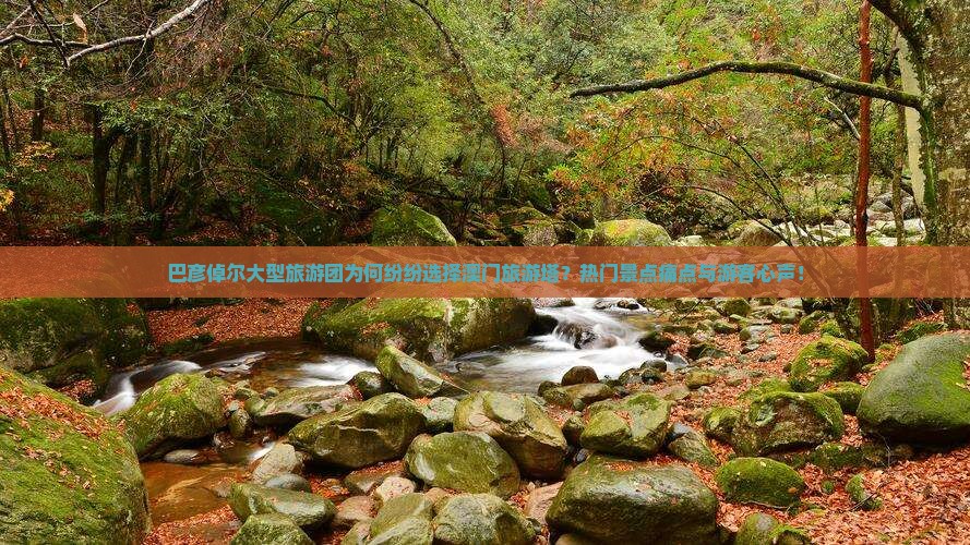 巴彦倬尔大型旅游团为何纷纷选择澳门旅游塔？热门景点痛点与游客心声！