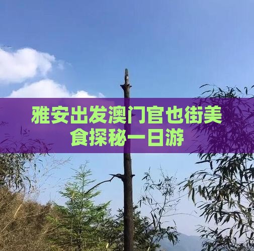 雅安出发澳门官也街美食探秘一日游