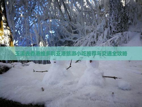 玉溪去香港维多利亚港旅游小吃推荐与交通全攻略
