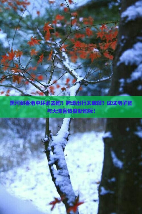 黑河到香港中环必去地？跨境出行太麻烦？试试电子签与大湾区热度新地标！