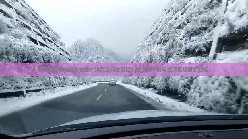 黑河到香港中环必去地？跨境出行太麻烦？试试电子签与大湾区热度新地标！