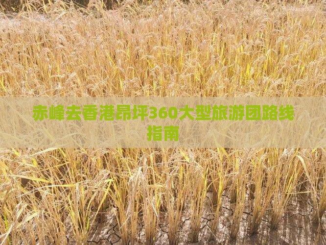 赤峰去香港昂坪360大型旅游团路线指南