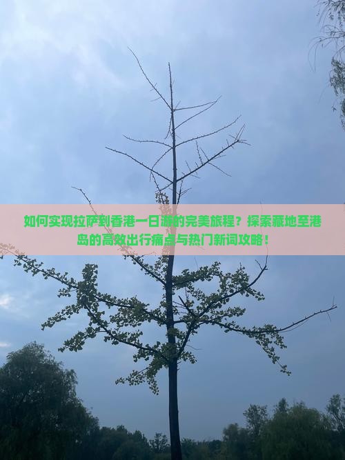 如何实现拉萨到香港一日游的完美旅程？探索藏地至港岛的高效出行痛点与热门新词攻略！