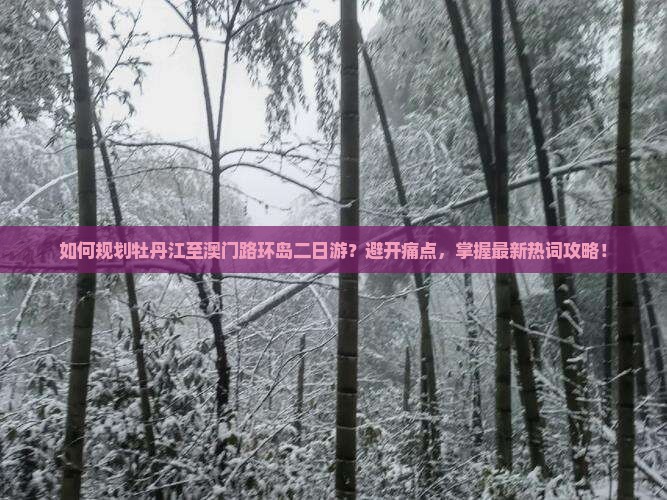 如何规划牡丹江至澳门路环岛二日游？避开痛点，掌握最新热词攻略！