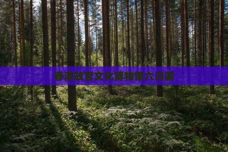 香港故宫文化博物馆六日游