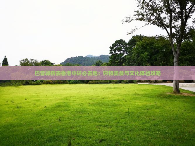 巴音郭楞去香港中环必去地：购物美食与文化体验攻略