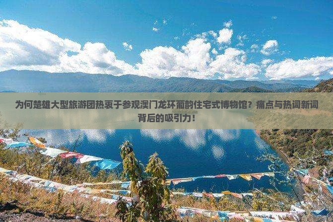 为何楚雄大型旅游团热衷于参观澳门龙环葡韵住宅式博物馆？痛点与热词新词背后的吸引力！