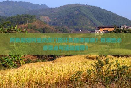 阿泰勒如何组织澳门路环岛团体旅游？有哪些必游景点与活动推荐？
