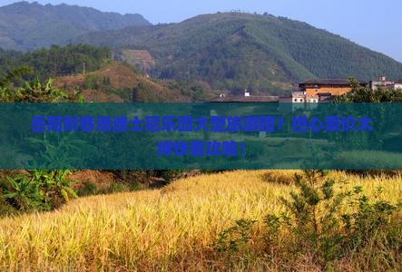 岳阳到香港迪士尼乐园大型旅游团？担心票价太缚快看攻略！