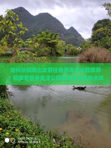 如何从铜陵出发前往香港海洋公园旅游？铜陵至香港海洋公园交通方式及景点攻略？