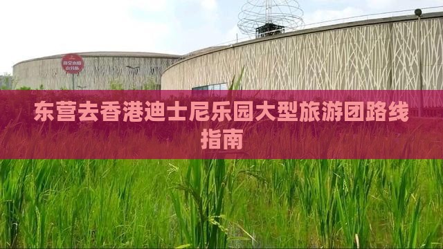 东营去香港迪士尼乐园大型旅游团路线指南