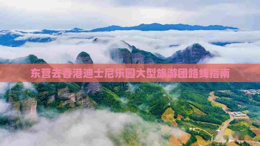 东营去香港迪士尼乐园大型旅游团路线指南