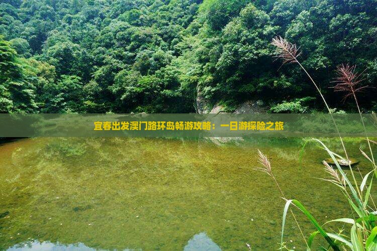 宜春出发澳门路环岛畅游攻略：一日游探险之旅