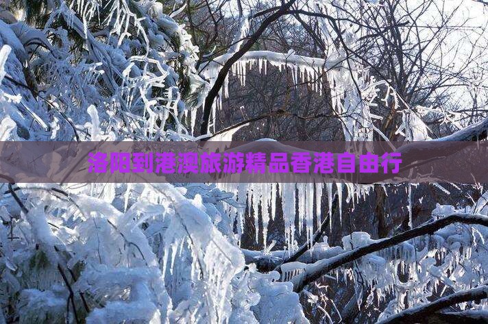 洛阳到港澳旅游精品香港自由行