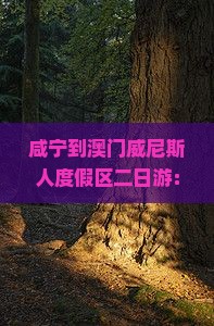 咸宁到澳门威尼斯人度假区二日游：探寻东方拉斯维加斯风情之旅