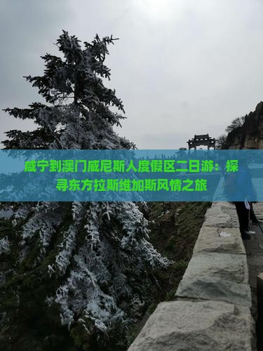 咸宁到澳门威尼斯人度假区二日游：探寻东方拉斯维加斯风情之旅