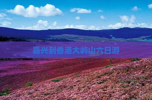 嘉兴到香港大屿山六日游