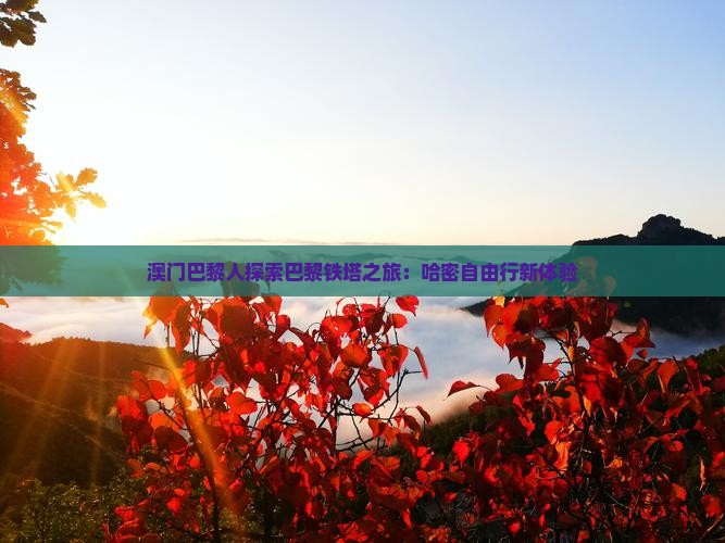澳门巴黎人探索巴黎铁塔之旅：哈密自由行新体验