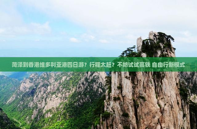 菏泽到香港维多利亚港四日游？行程太赶？不妨试试高铁+自由行新模式