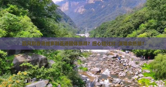 四月到香港维多利亚港团体旅游？担心错过红磡演唱会热潮？