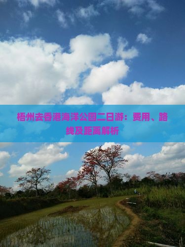 梧州去香港海洋公园二日游：费用、路线及距离解析
