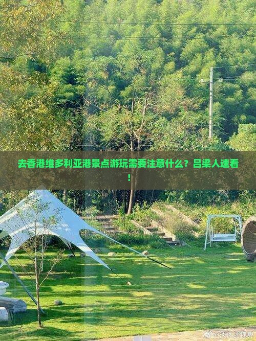 去香港维多利亚港景点游玩需要注意什么？吕梁人速看！