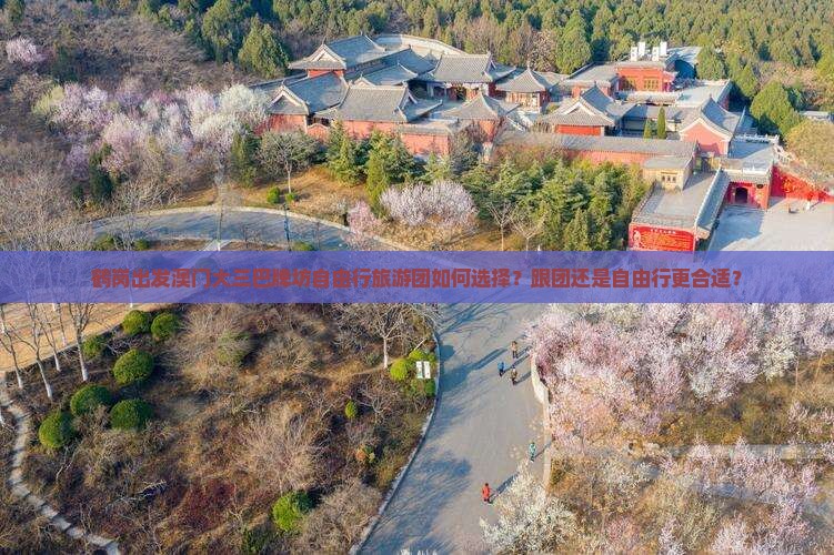 鹤岗出发澳门大三巴牌坊自由行旅游团如何选择？跟团还是自由行更合适？
