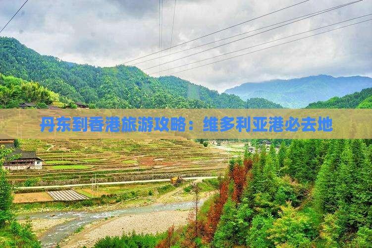 丹东到香港旅游攻略：维多利亚港必去地