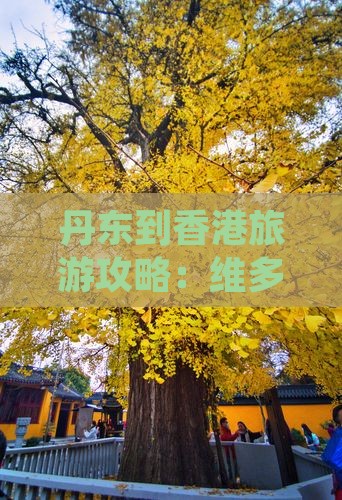 丹东到香港旅游攻略：维多利亚港必去地
