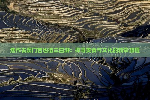 焦作去澳门官也街三日游：探寻美食与文化的精彩旅程