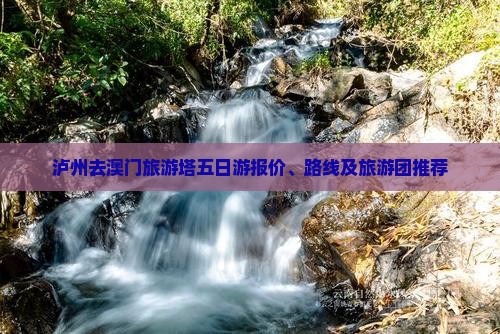 泸州去澳门旅游塔五日游报价、路线及旅游团推荐