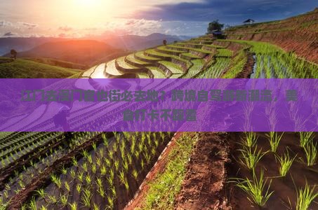 江门去澳门官也街必去地？跨境自驾游新潮流，美食打卡不踩雷