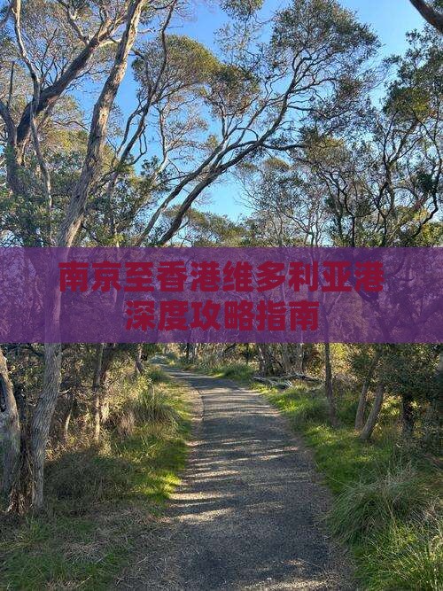 南京至香港维多利亚港深度攻略指南