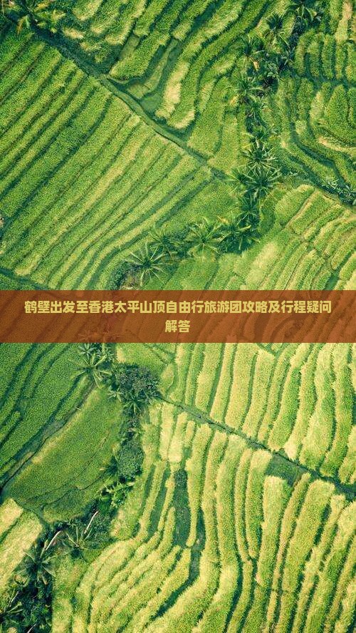 鹤壁出发至香港太平山顶自由行旅游团攻略及行程疑问解答