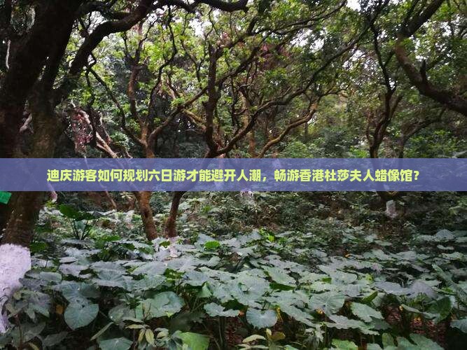 迪庆游客如何规划六日游才能避开人潮，畅游香港杜莎夫人蜡像馆？