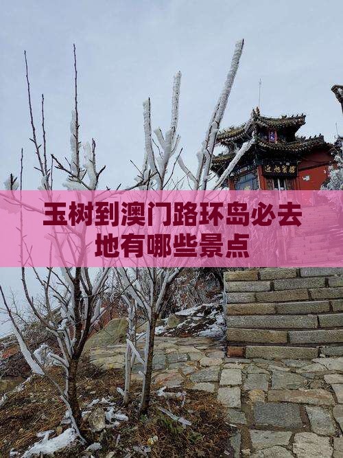 玉树到澳门路环岛必去地有哪些景点
