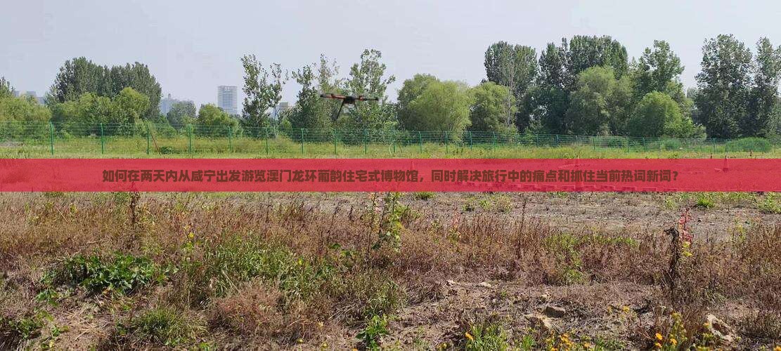 如何在两天内从咸宁出发游览澳门龙环葡韵住宅式博物馆，同时解决旅行中的痛点和抓住当前热词新词？