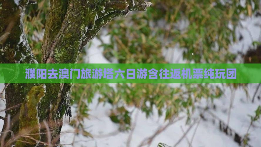 濮阳去澳门旅游塔六日游含往返机票纯玩团