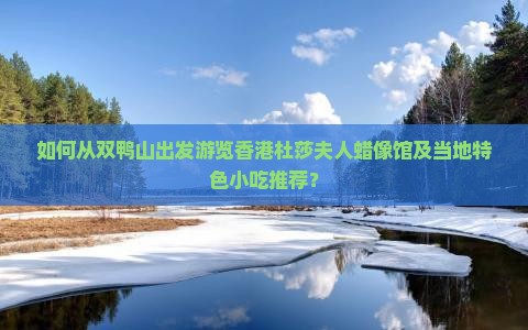 如何从双鸭山出发游览香港杜莎夫人蜡像馆及当地特色小吃推荐？