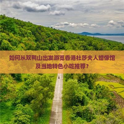 如何从双鸭山出发游览香港杜莎夫人蜡像馆及当地特色小吃推荐？