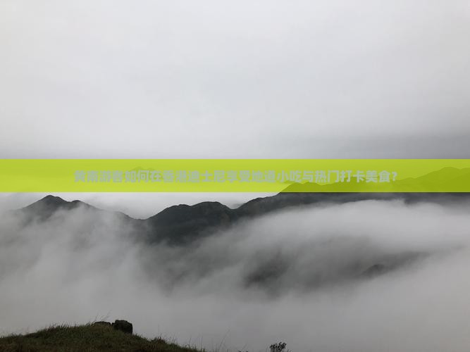 黄南游客如何在香港迪士尼享受地道小吃与热门打卡美食？