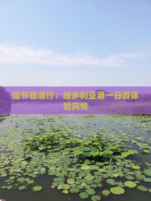 佳节香港行：维多利亚港一日游体验风情