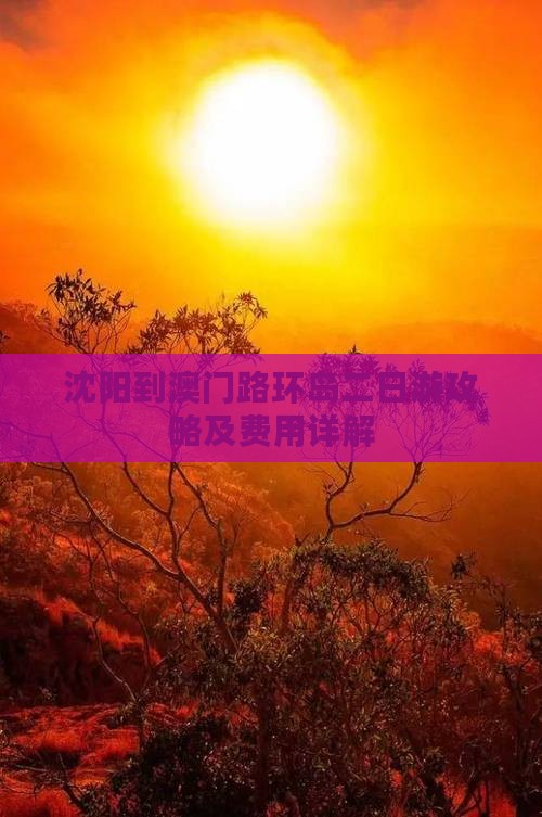 沈阳到澳门路环岛二日游攻略及费用详解
