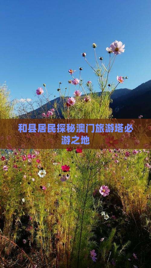 和县居民探秘澳门旅游塔必游之地