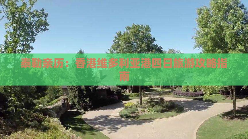 泰勒亲历：香港维多利亚港四日旅游攻略指南