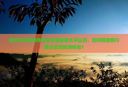 如何从呼和浩特自由行至香港太平山顶，如何规避旅行痛点实现畅游体验？