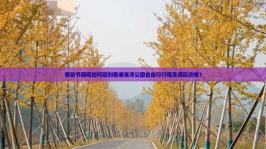 劳动节期间如何规划香港海洋公园自由行行程及游玩攻略？