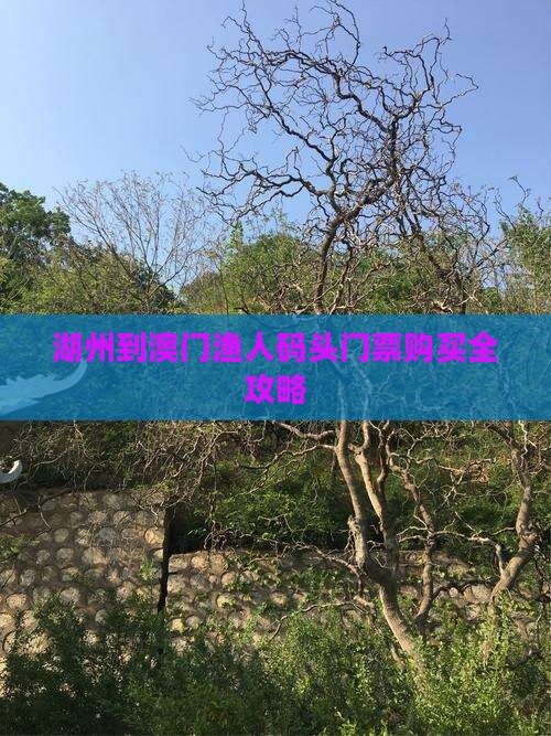 湖州到澳门渔人码头门票购买全攻略
