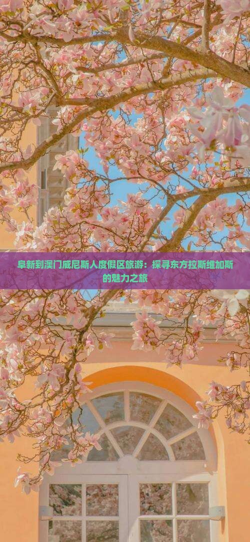 阜新到澳门威尼斯人度假区旅游：探寻东方拉斯维加斯的魅力之旅